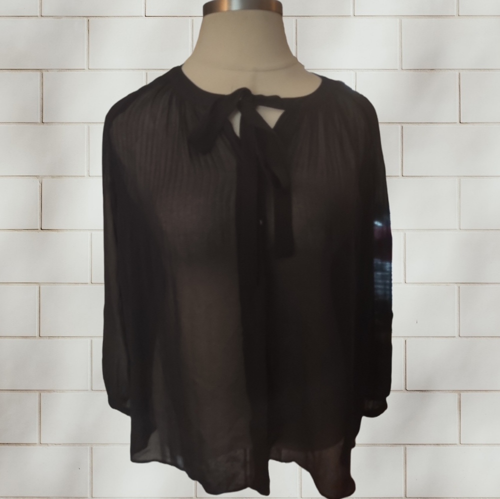 Sheer lane Bryant blouse